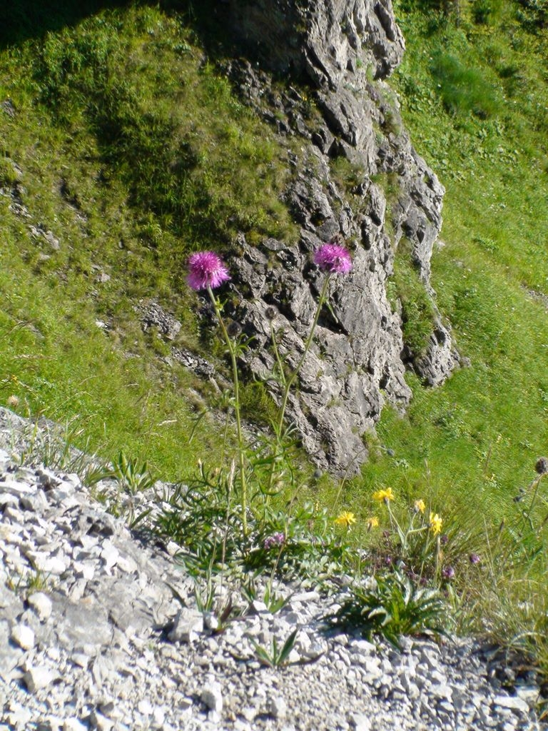 Rekolekcje letnie 2010