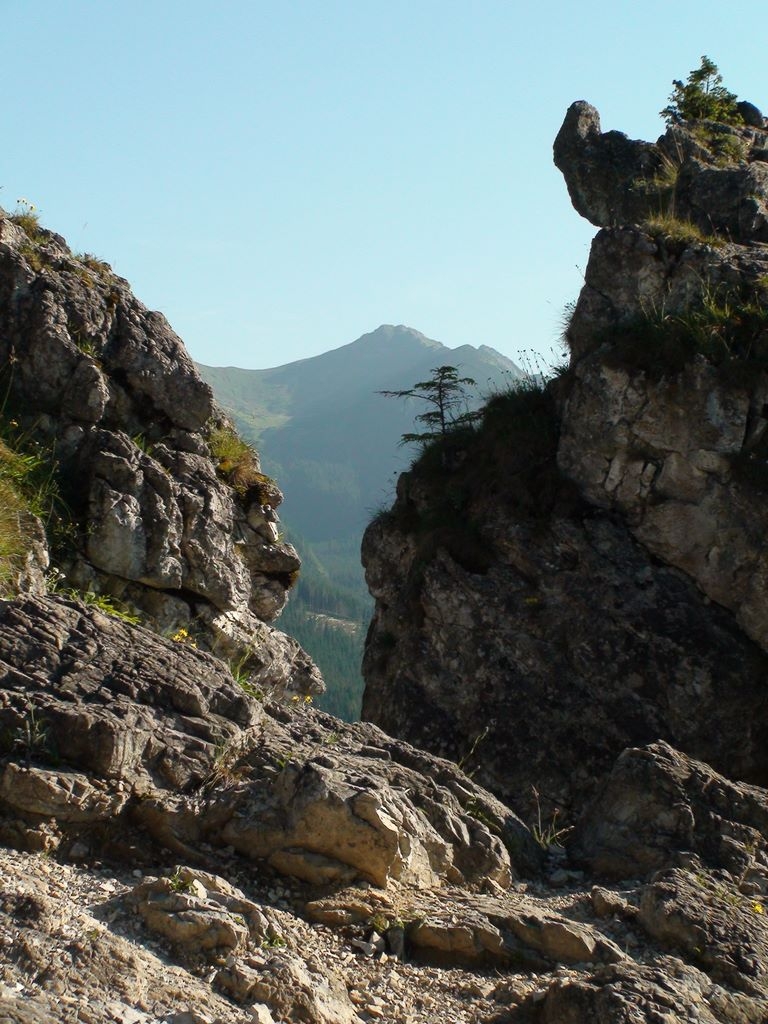 Rekolekcje letnie 2010
