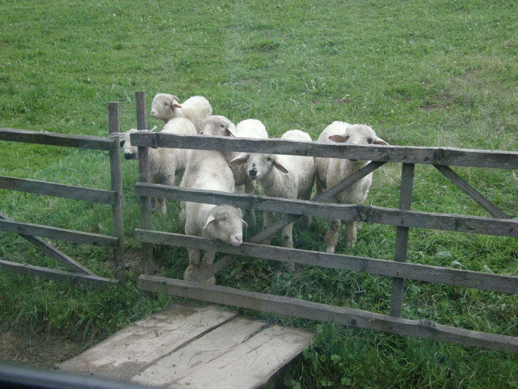 Rekolekcje letnie 2011